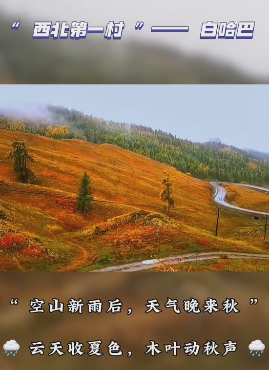 雨后的白哈巴是秋日的浪漫序章