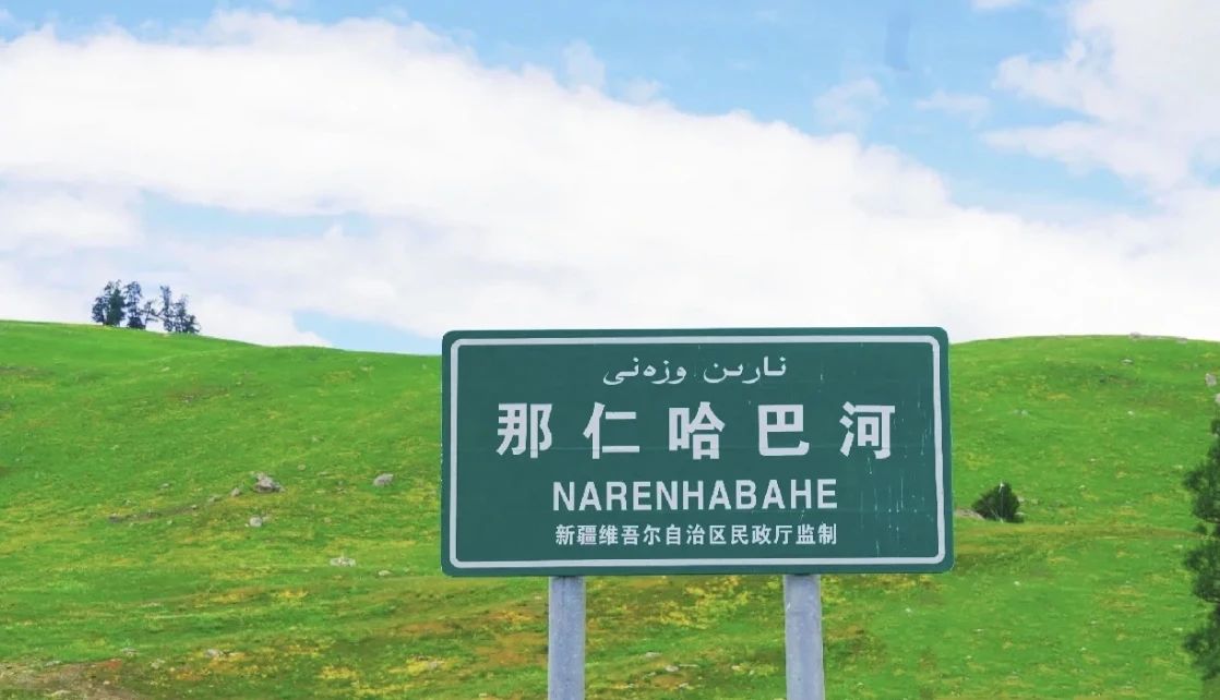 那仁草原|打卡大山深處的“挪威森林”